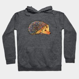 Rainbow Hedgehog-dark Hoodie